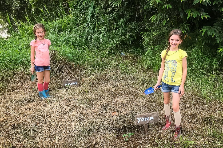 Kids planting trees to recover the rainforest in Borneo