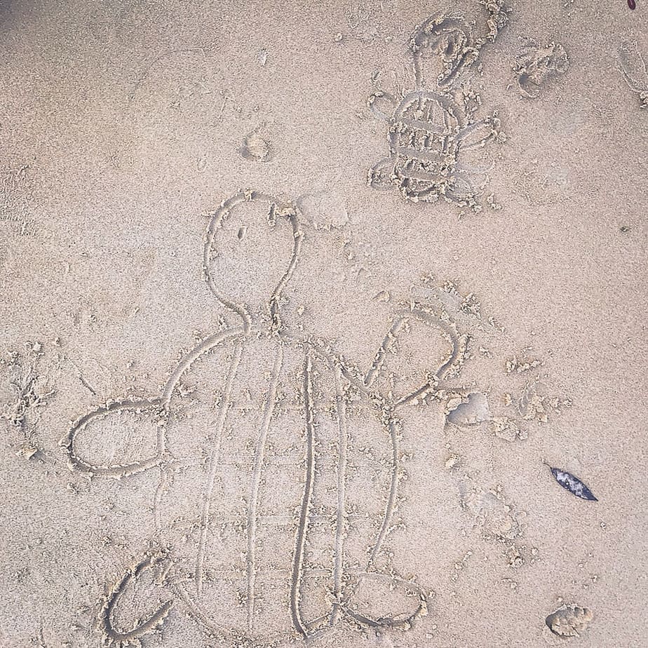 Drawing Tioman Island Turtle