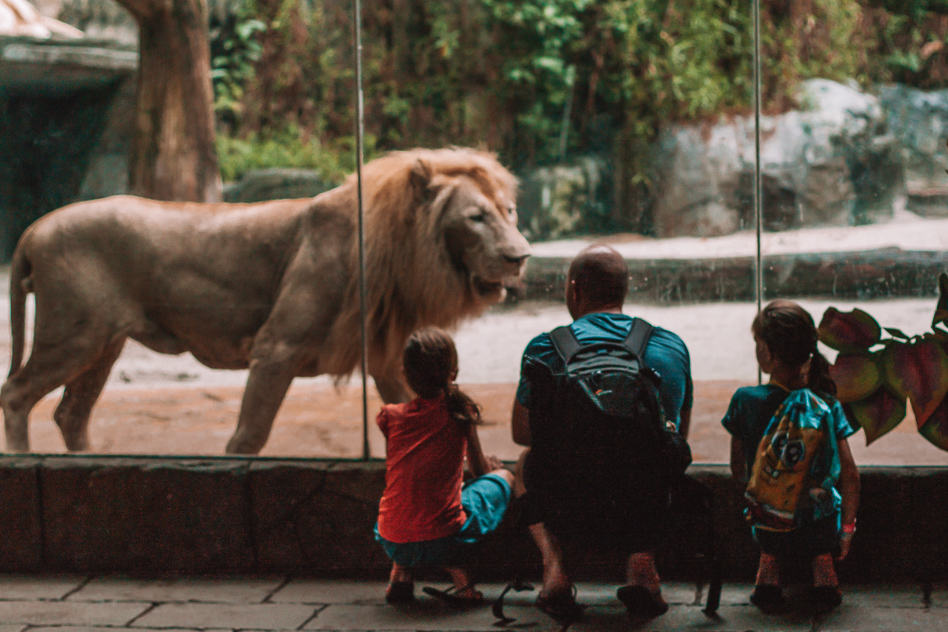 Lion Wildlife Park Sunway Lagoon Family