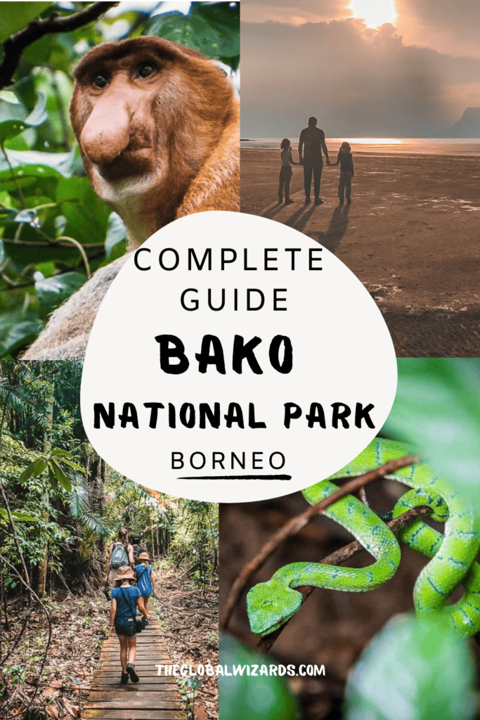 Complete guide Bako National Park in Borneo