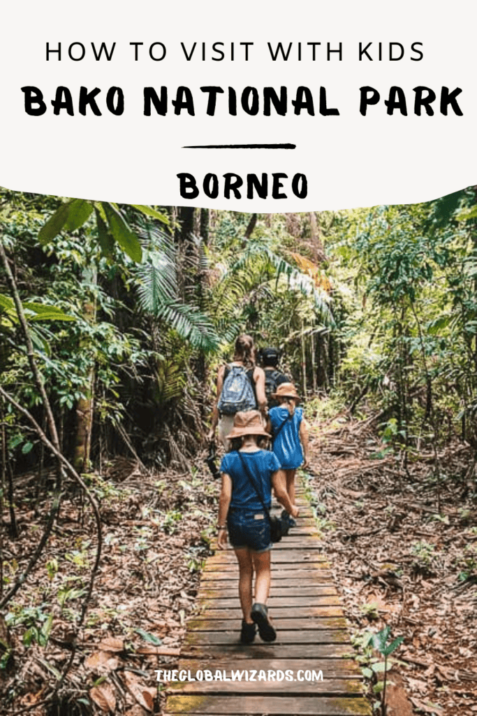 How to visit the Bako National Park in Borneo 