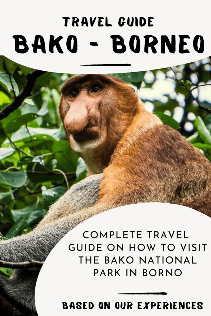 Travel guide Bako National Park Borneo