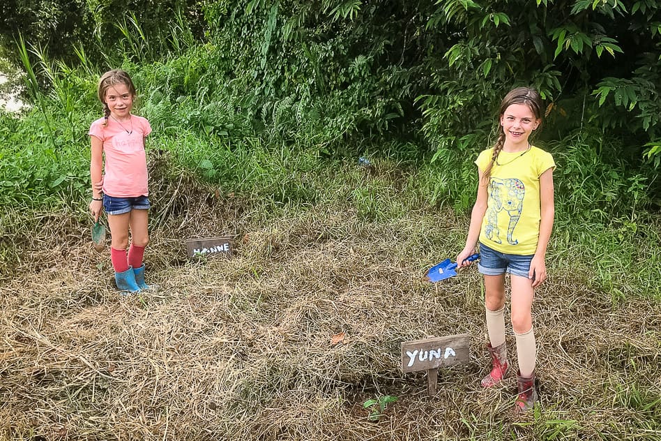 Kinderen planten bomen om het regenwoud op Borneo te herstellen