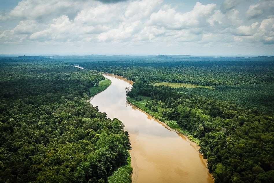 The Kinabatangan River in Borneo with palm tree plantations