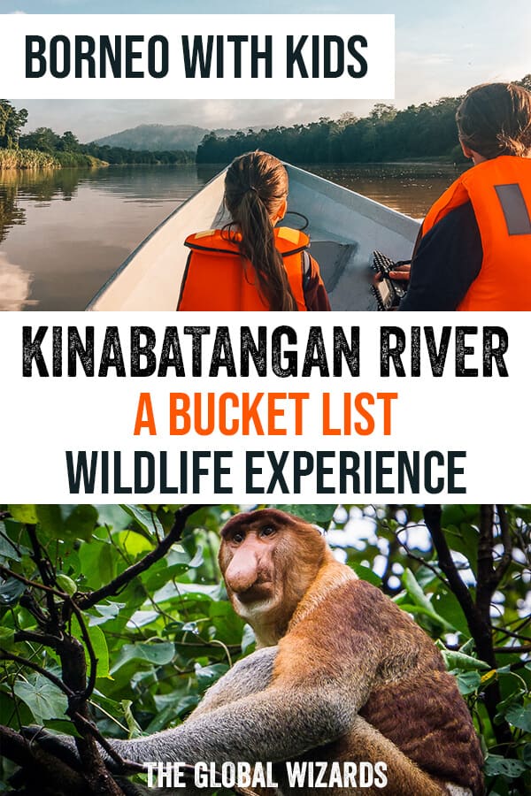 Discover the Kinabatangan River in Borneo with kids