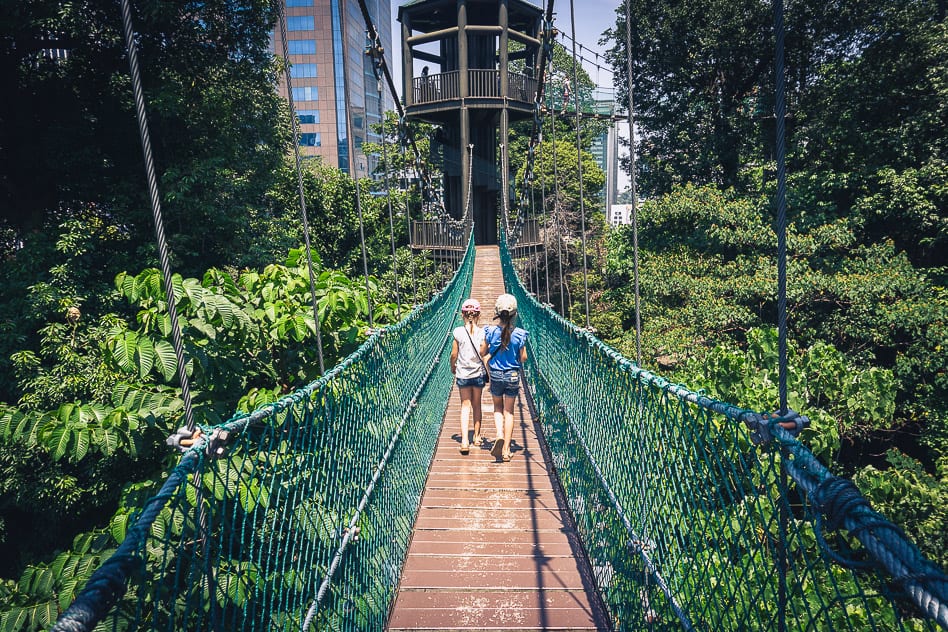 Kids Canopy Walk KL Eco Forest Kinderen