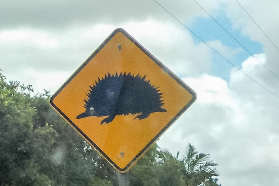 Echidna Sign Road Weg Bord Australia