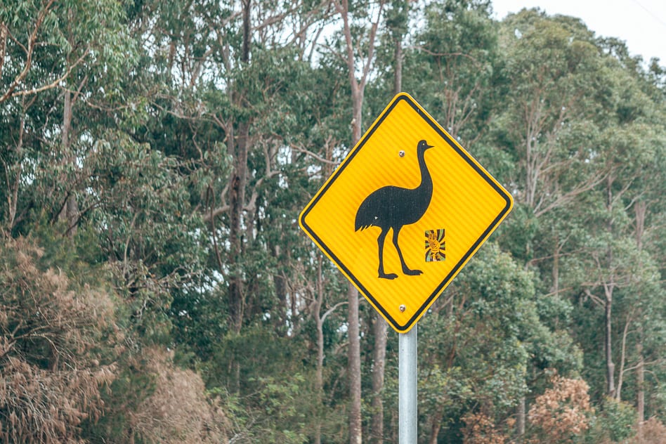 Emu Bord Weg Road Sign Australia