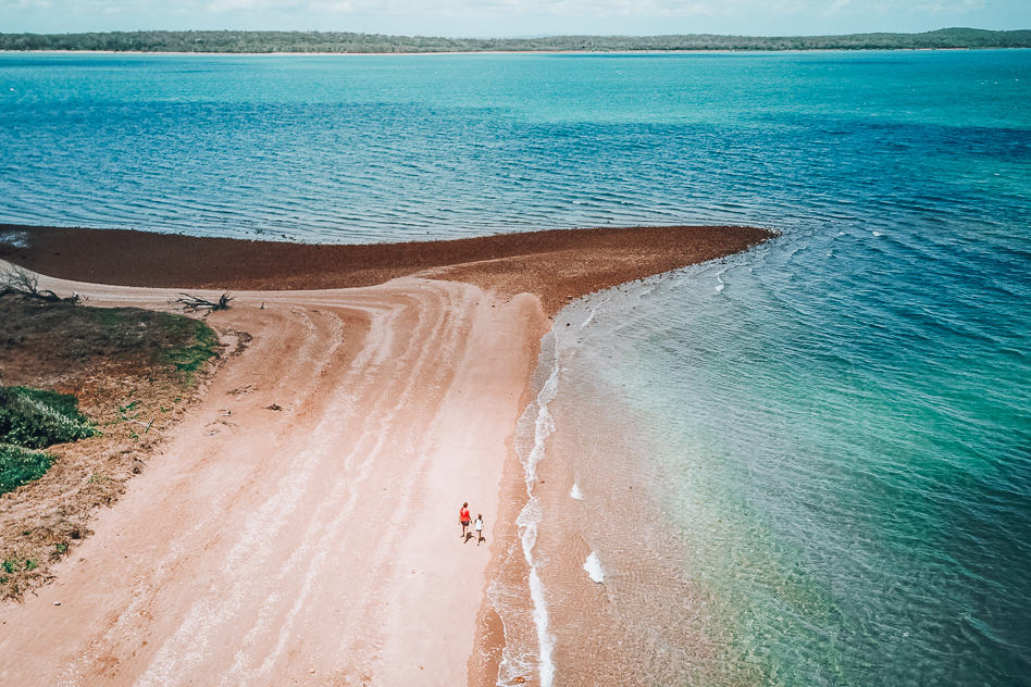 Hervey Bay Eco Marine Tours Drone Island Australia