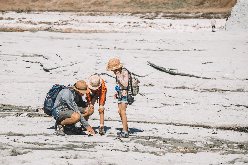 Kaikoura Earthquake Geology Kids Lesson Walk