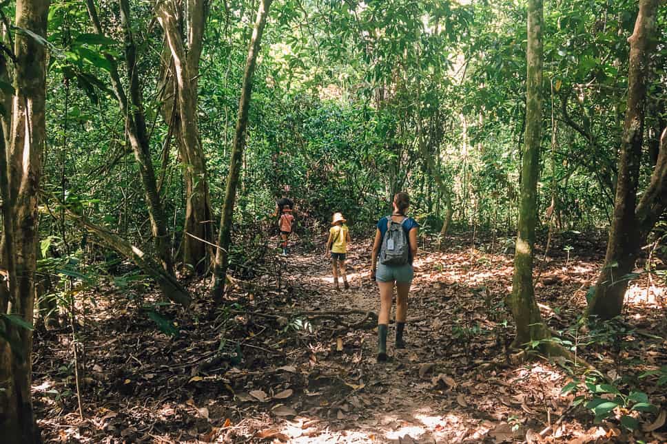 Exploring the rainforest in Borneo with kids during our day jungle walk