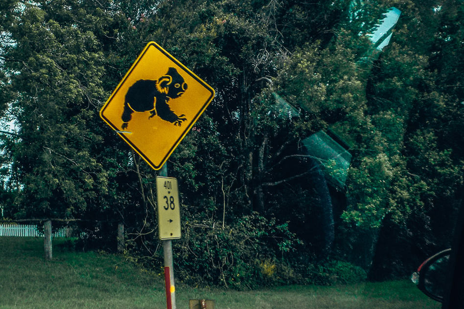 Koala Road Sign Weg Bord Australia