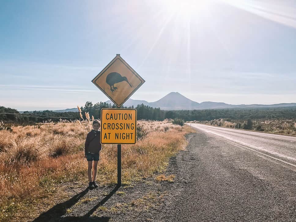 We find a Kiwi sign on our road trip through New Zealand with kids