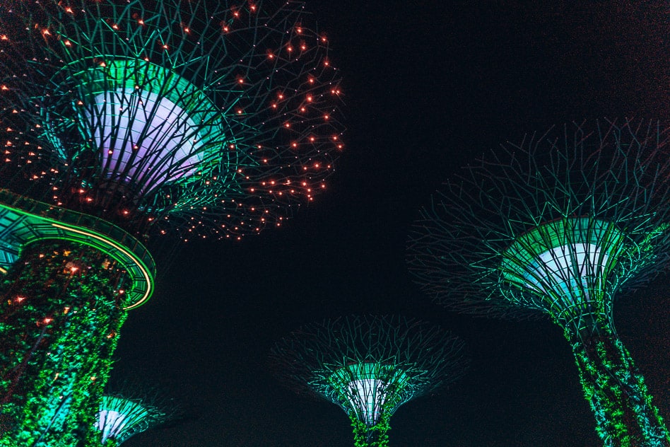 Supertree Grove Gardens By The Bay Light Show Singapore