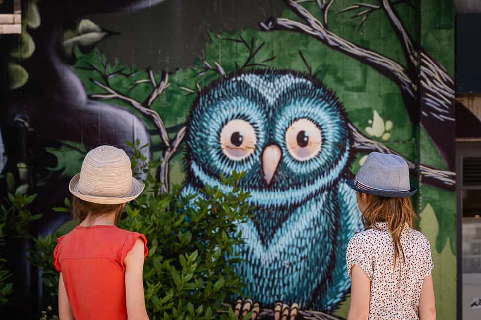 Street Art Louvain-La-Neuve Owl Family Walk