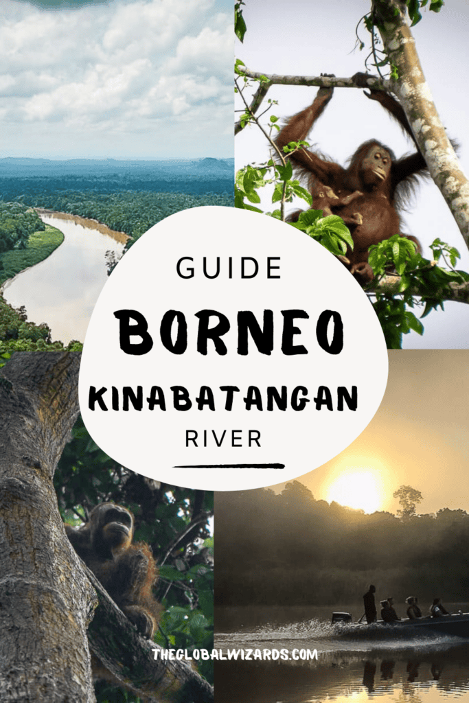 Guide Borneo Kinabatangan River