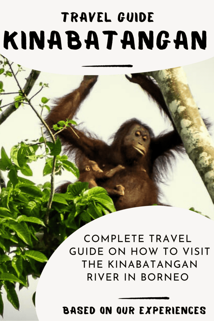 Travel guide Kinabatangan