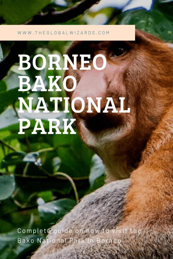 borneo bako national park