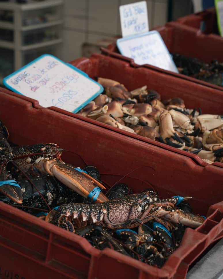 Boulogne-sur-Mer fish market harbour
