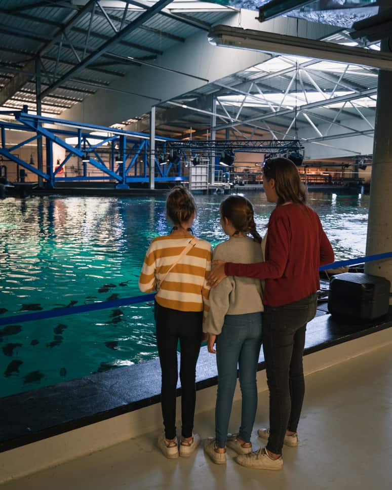 Nausicaa aquarium behind the scenes tour