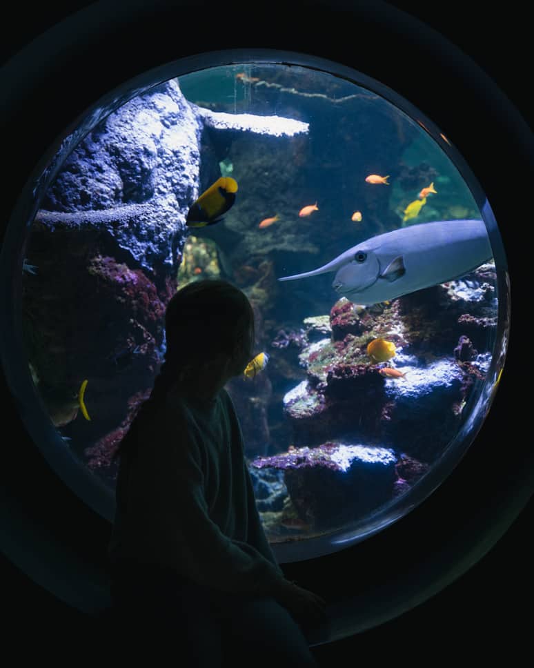 Nausicaa Tropical Aquarium