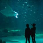 Nausicaá aquarium en Evancy in Boulogne-Sur-Mer