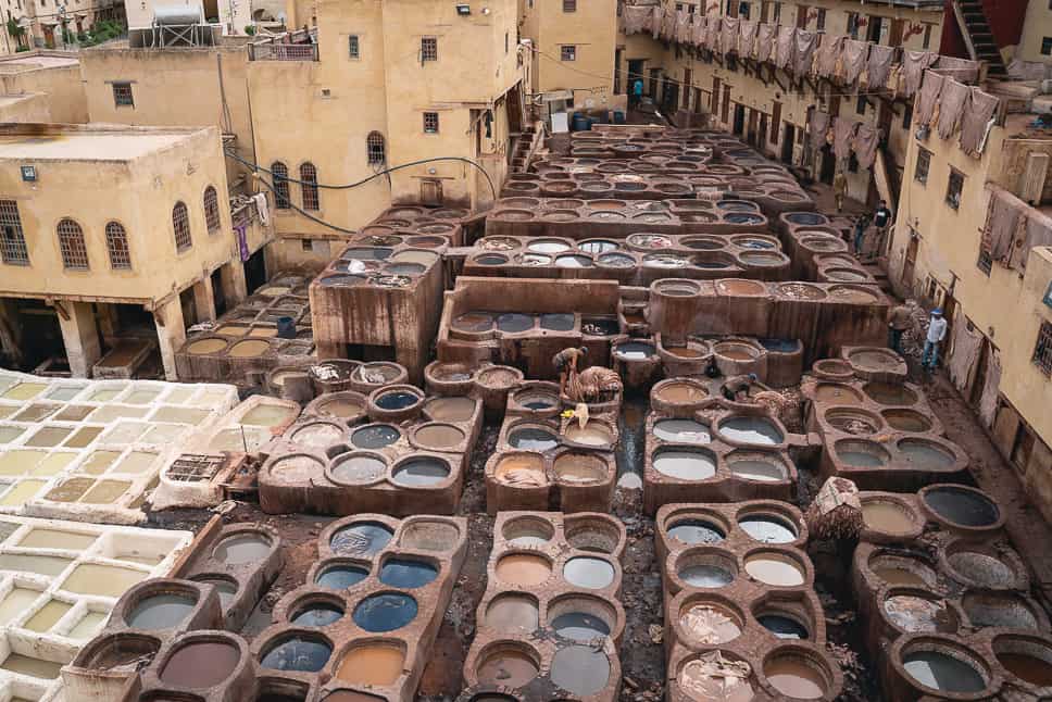 Koningstad Fez Leerlooierij Reis Marokko