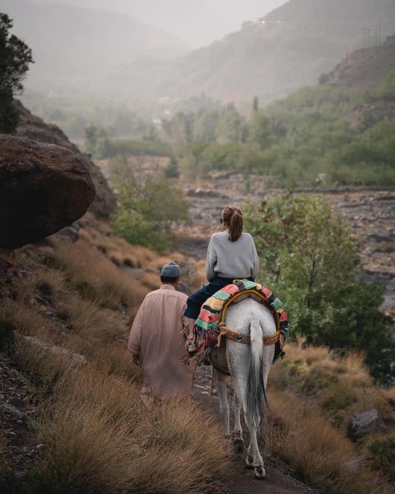 Imlil Atlas Mountains Morocco Mule Kids