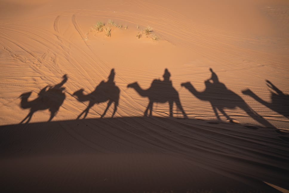 Merzouga Woestijn Marokko Zonsondergang Dromerdaris