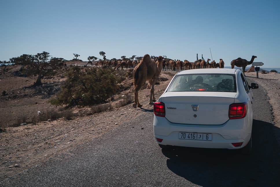 Rent a car driving Morocco