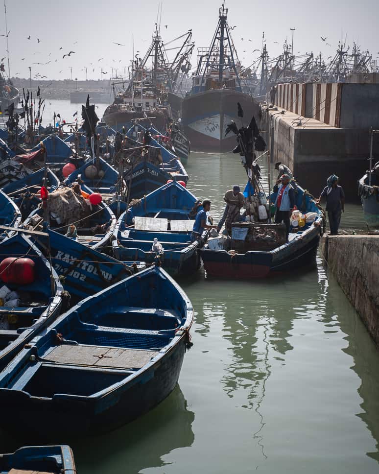 Essaouira Things to do Harbour Fishermen