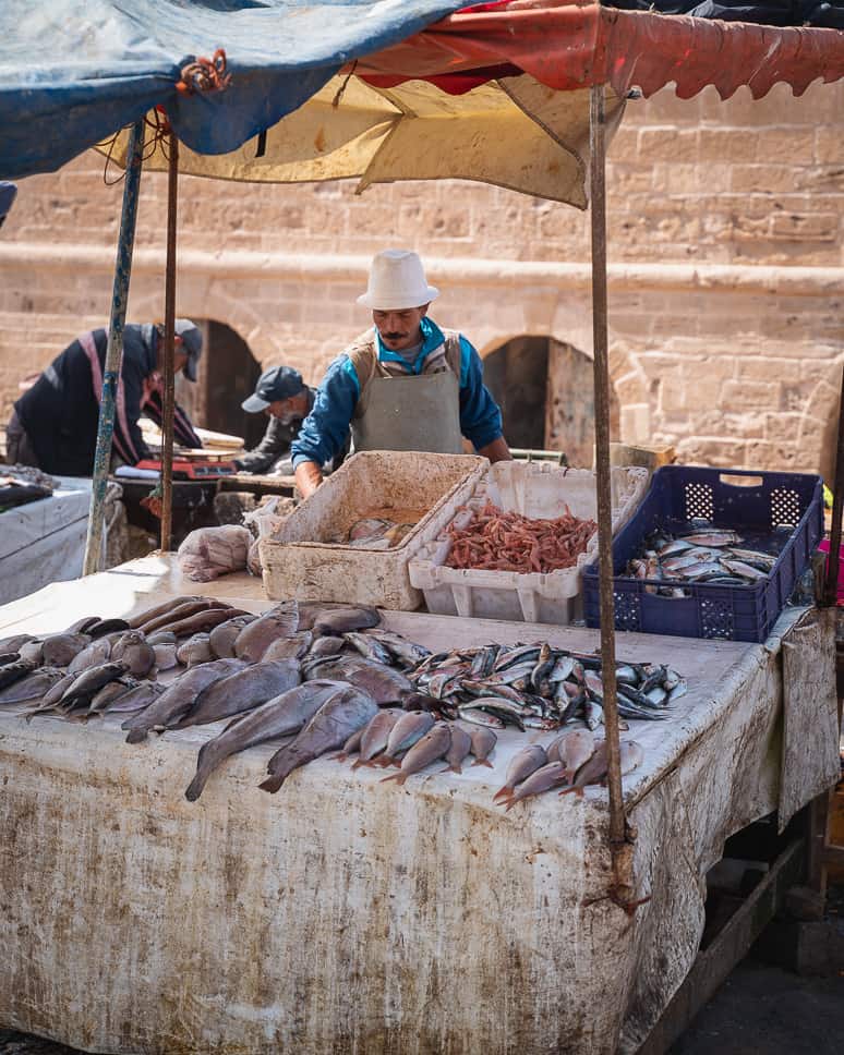 Essaouira Marokko Visverkoper Haven