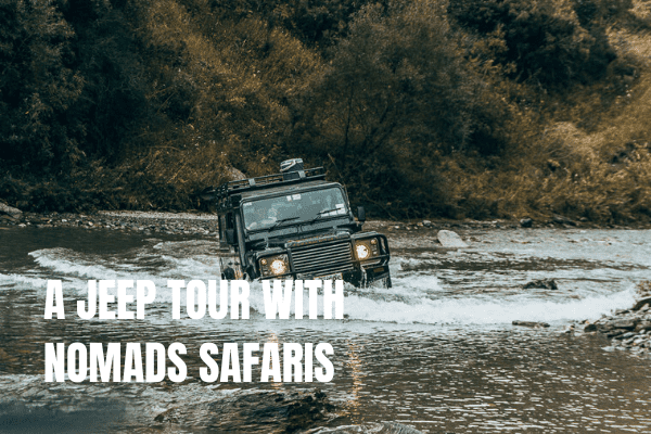 A jeep tour with nomads safaris