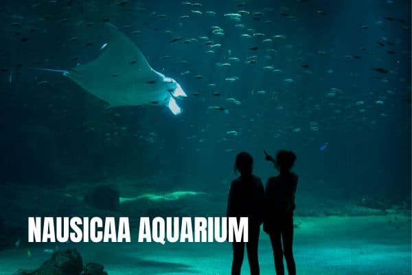 Nausicaa Aquarium Boulogne-surmer dagtrip