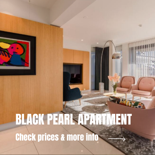 Best places to stay in Iceland - Black Pearl Apartment
