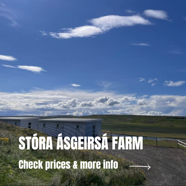 Where to stay in Iceland - Farm stay