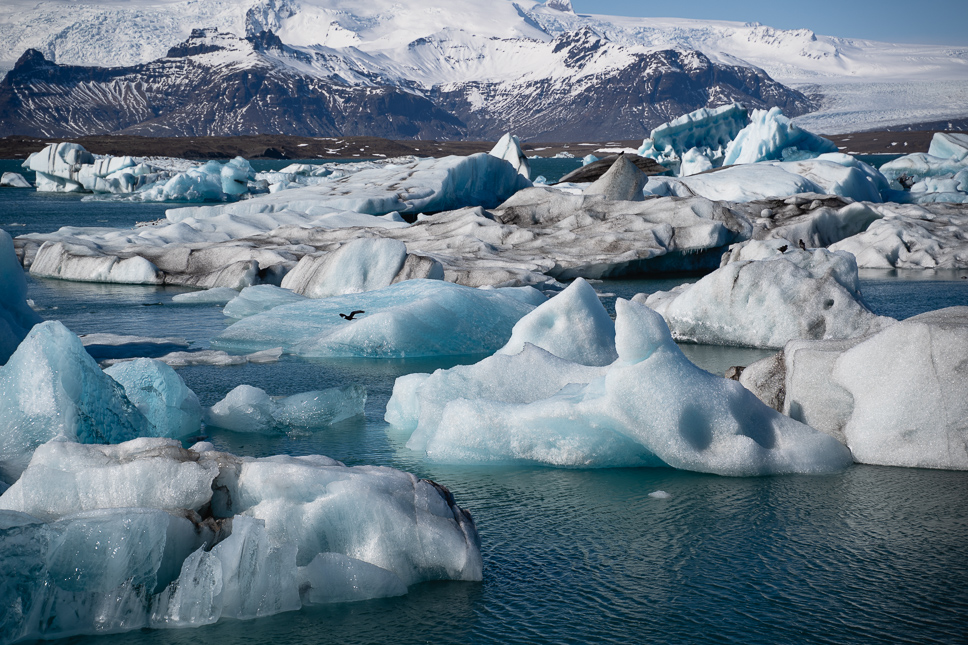 Ijsbergen in het gletsjermeer van Jökulsárlón in Zuid-Ijsland met besneeuwde bergen op de achtergrond
