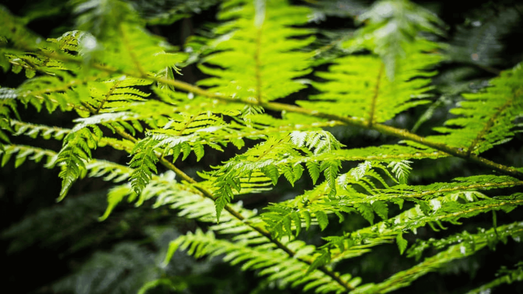 140+ Adventure captions for Instagram (and quotes) · The Global Wizards Travel Blog