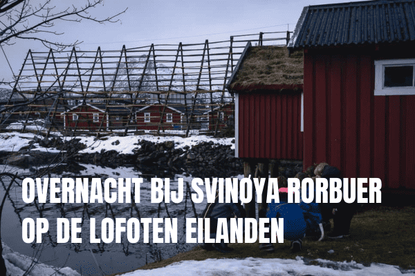 Overnachten op de Lofoten bij Svinoya Rorbuer