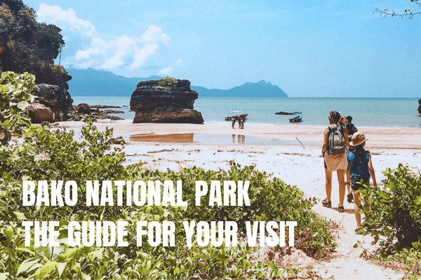 A complete guide for visiting Bako National Park in Borneo