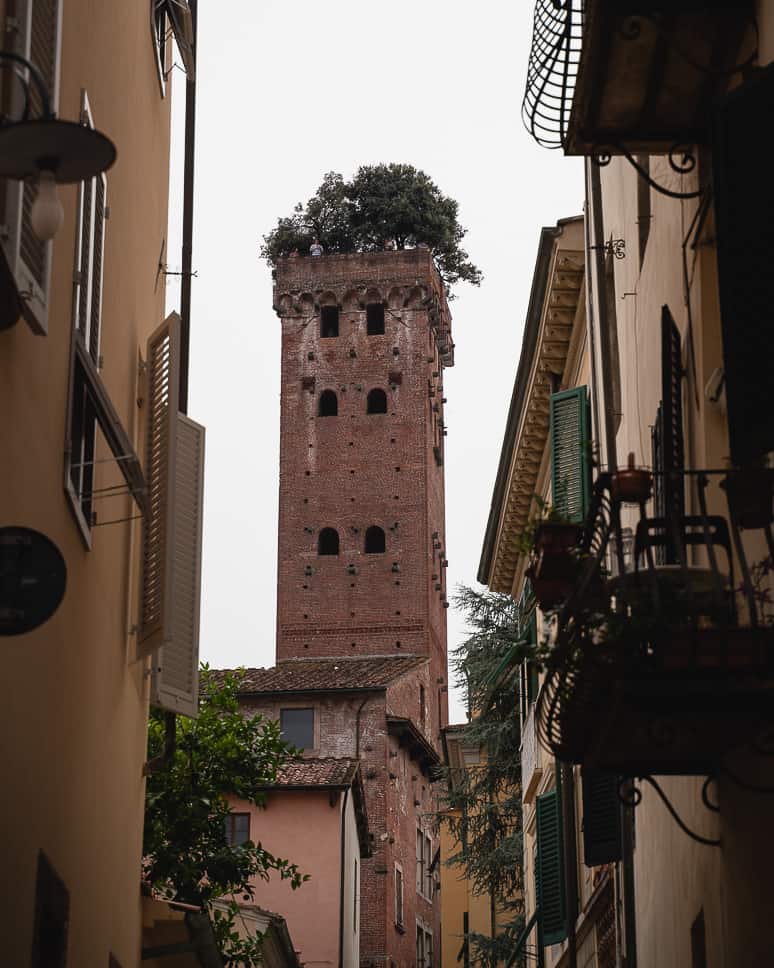 Lucca - Campanile Tower
