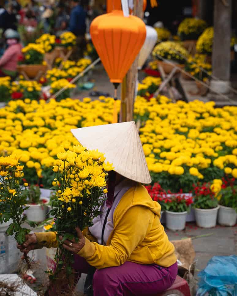 A bucket list experience Vietnam Tet Festival Hoi An Yellow Flowers