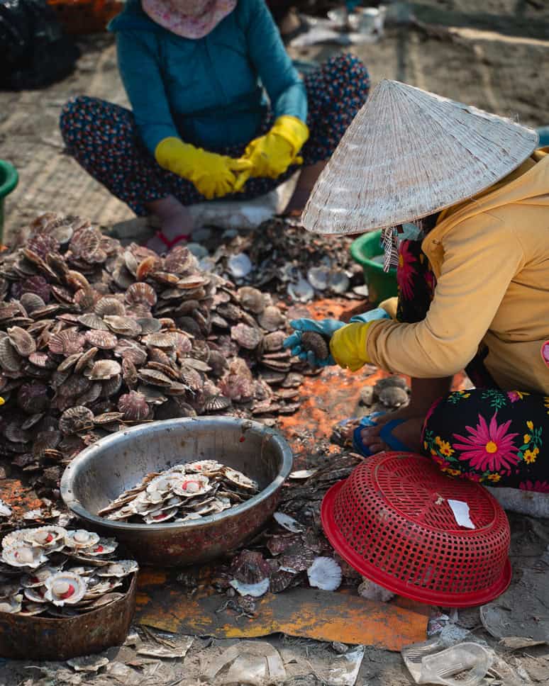 Mui Ne bucket list Vietnam Fish Market