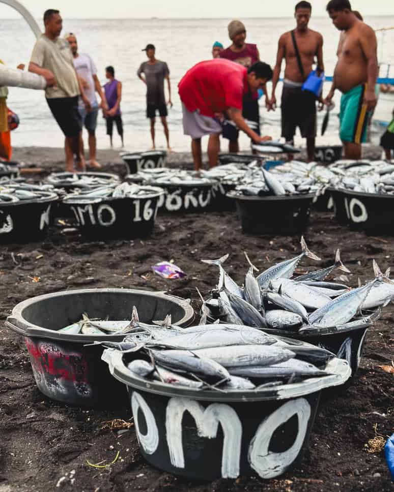 Things to do Amed beach fishermen