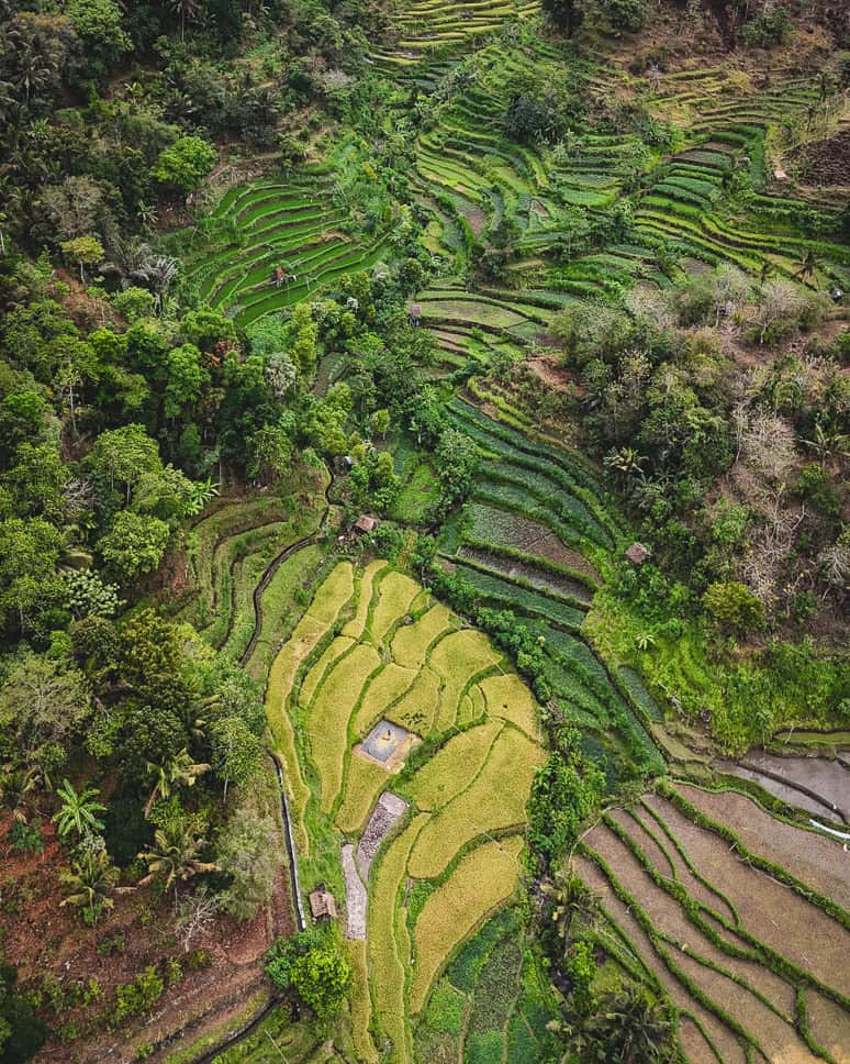 Drone Bali Berina Rijstterrassen Oost-Bali Verborgen Parel