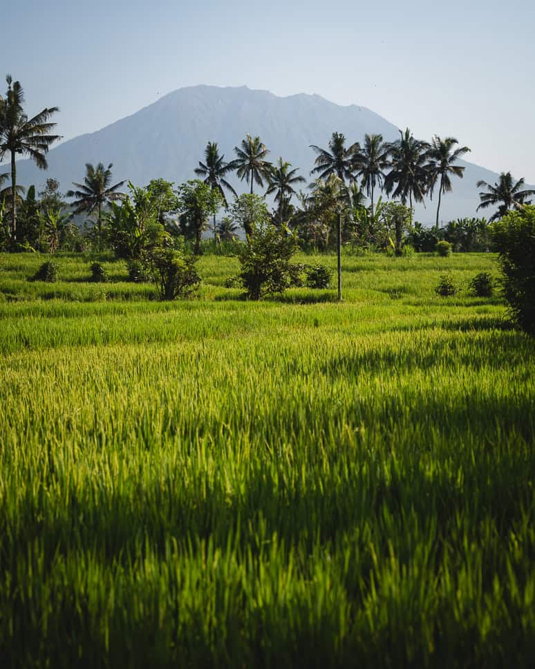 What to to in Sidemen Bali Ricefields Mount Agung