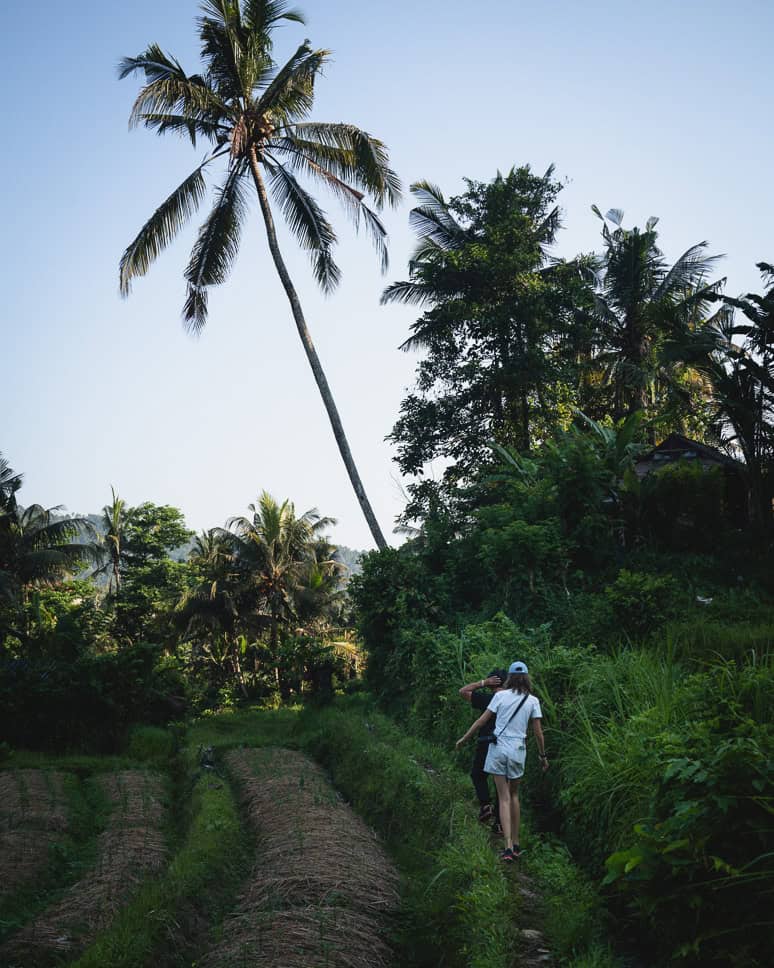 Guided walk in Sidemen Bali