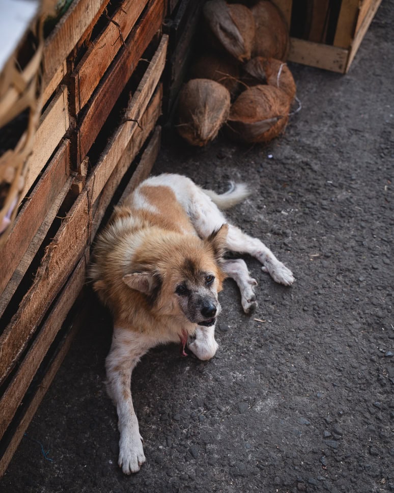 Local market Sidemen Bali