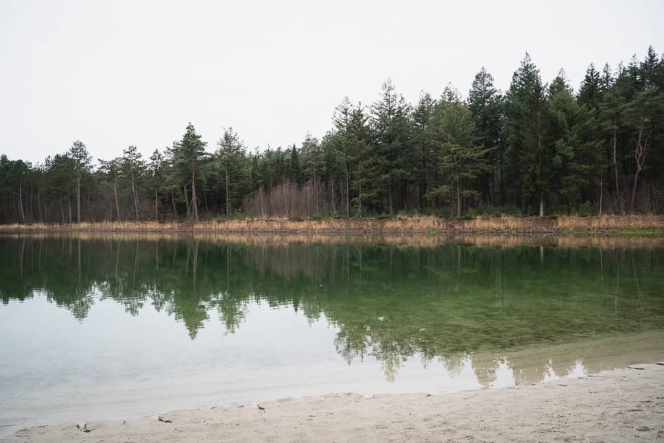 Ieberenplas Drenthe Nederland Winterwoods