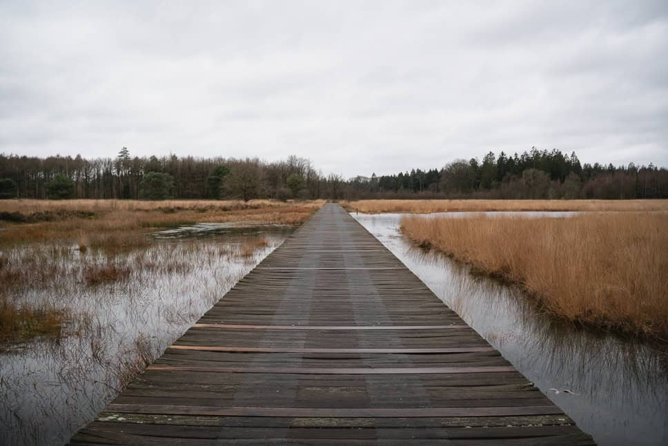 Natuurpark Hart van Drenthe Winterwoods Camping